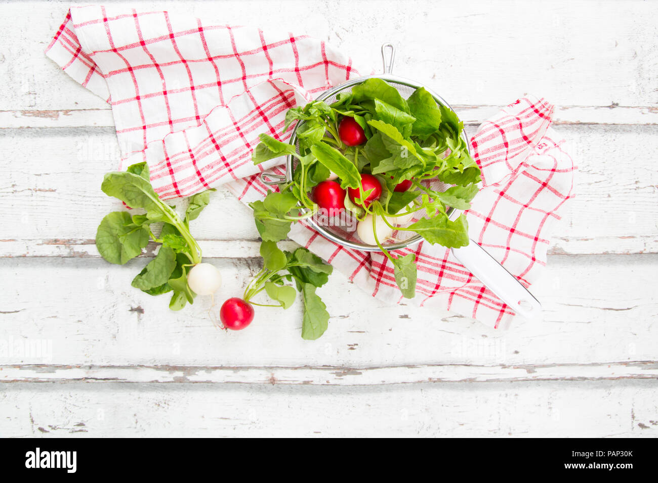 Rosso e il radicchio bianco nella succhieruola e asciugatutto Foto Stock