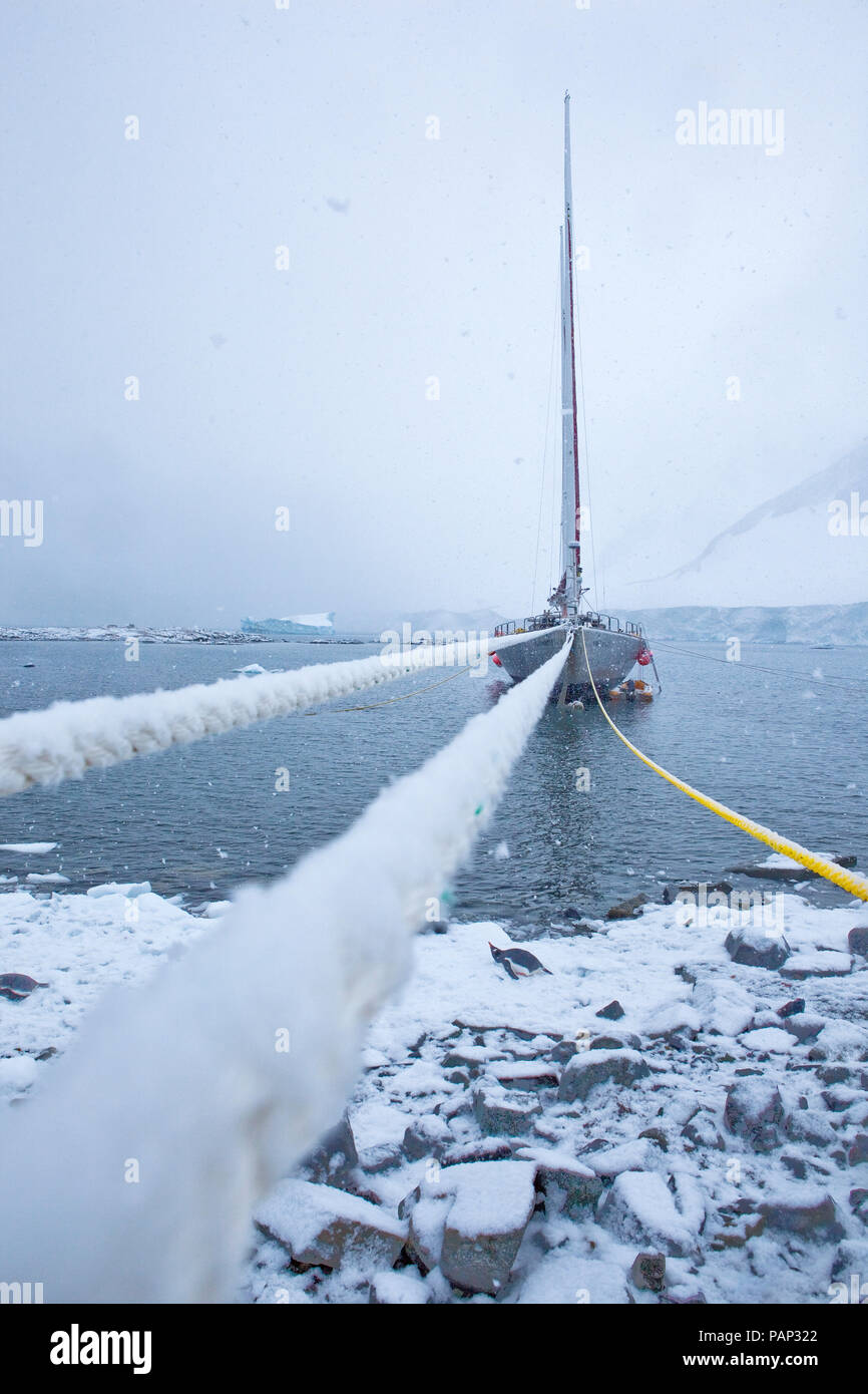 Antartico, Graham Land, ormeggiato in barca a vela Foto Stock