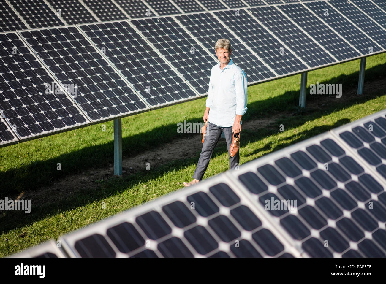 Uomo maturo camminare a piedi scalzi sul prato in impianto solare Foto Stock