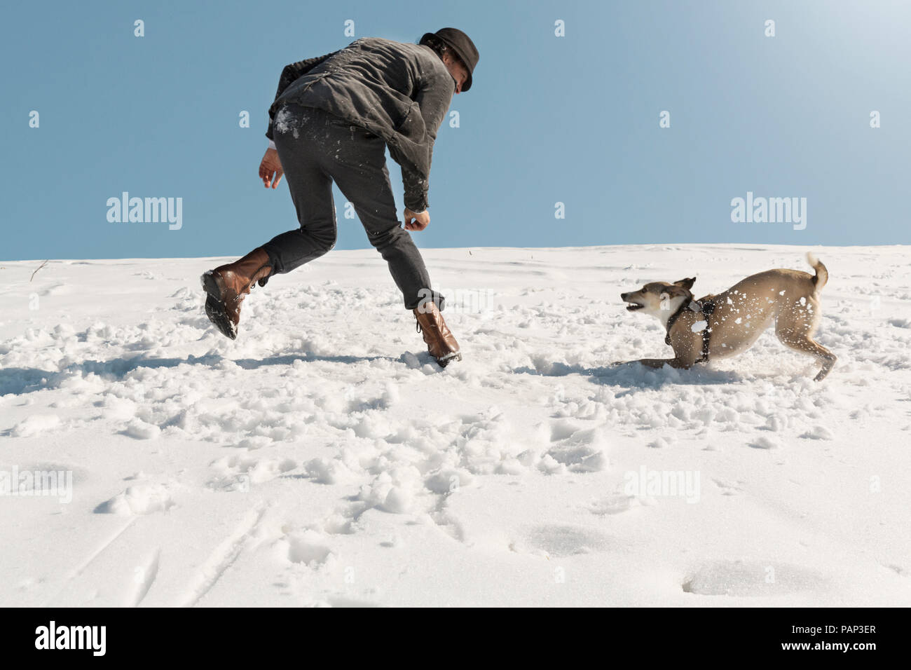 L'uomo gioca con il cane in inverno, gettando la neve Foto Stock