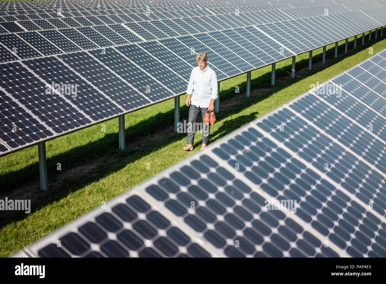 Uomo maturo camminare a piedi scalzi sul prato tra pannelli solari Foto Stock