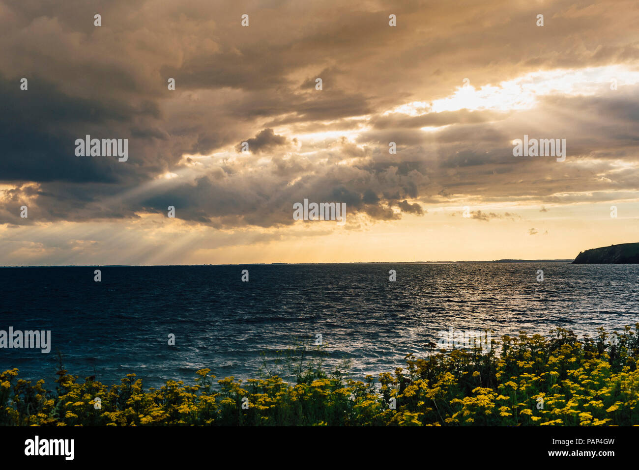 Germania, Ruegen, della costa e del Mar Baltico sotto il cielo nuvoloso Foto Stock