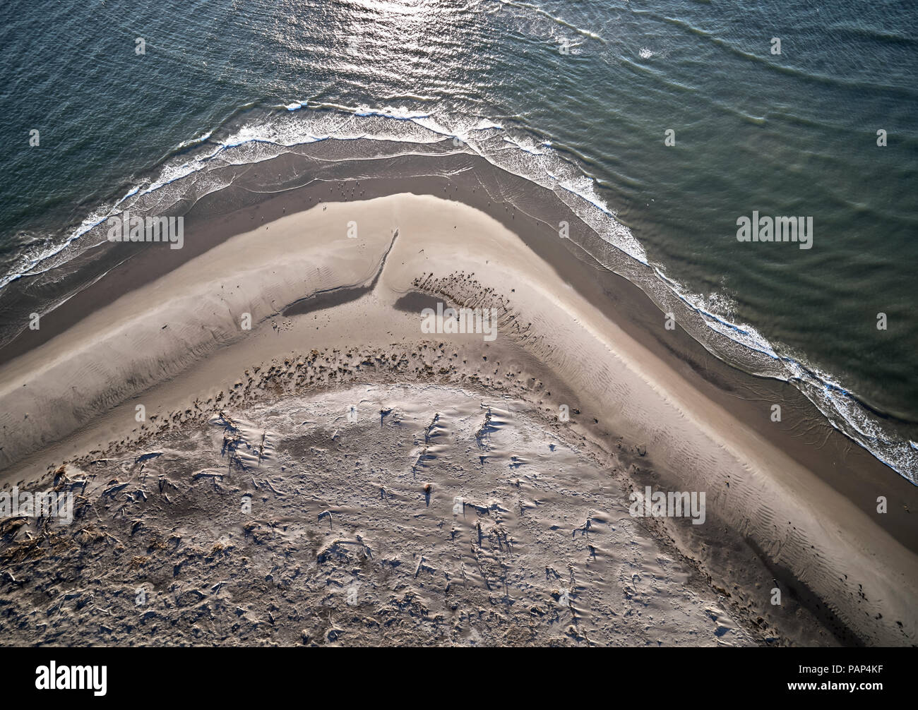 Stati Uniti d'America, Virginia, veduta aerea della Virginia costa Riserva, Oceano Atlantico, spiaggia Foto Stock