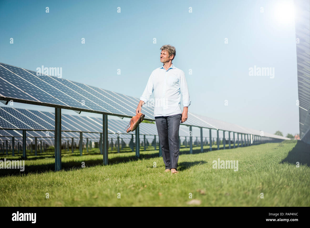 Uomo maturo camminare a piedi scalzi sul prato tra pannelli solari Foto Stock