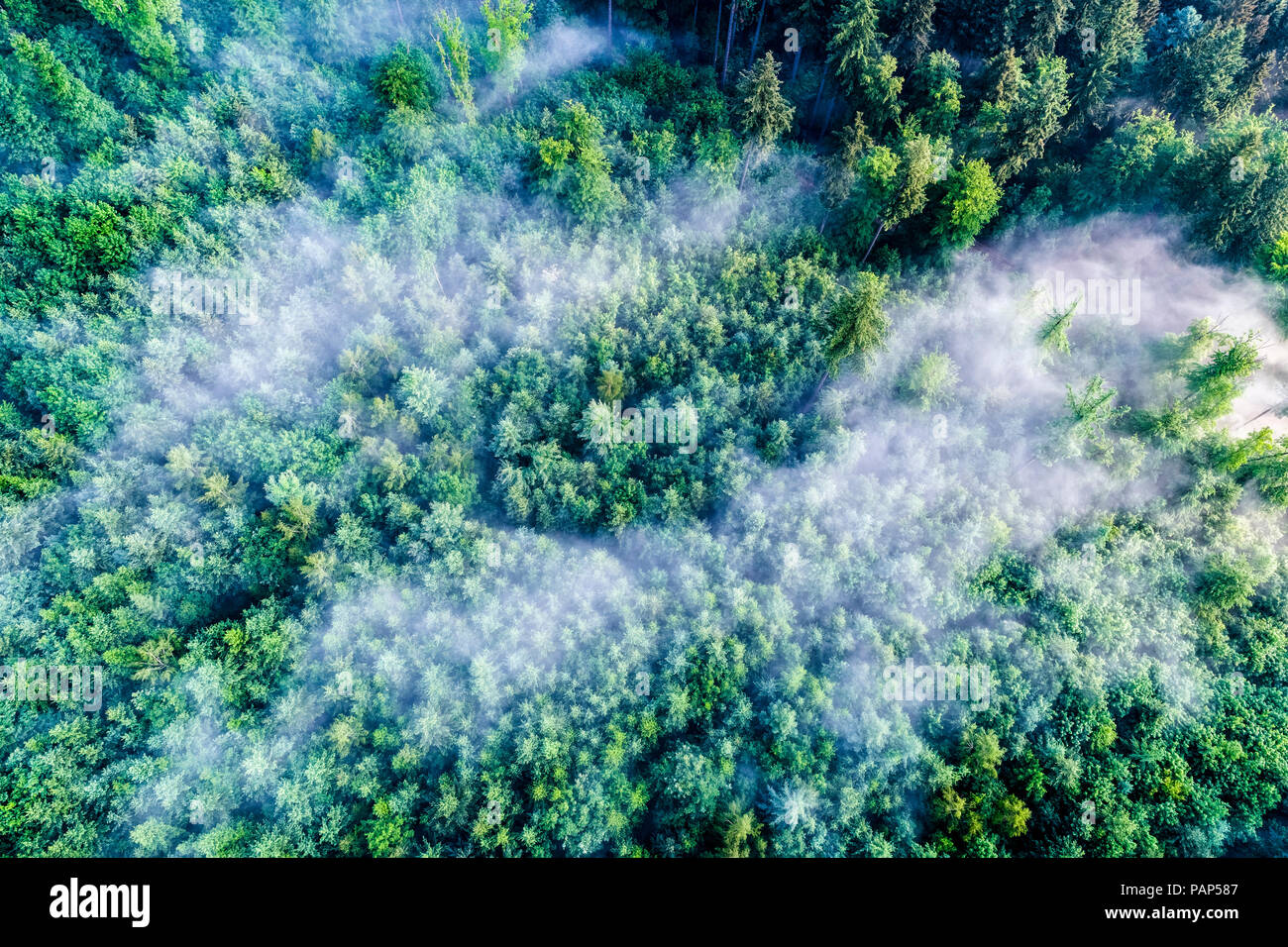 Germania Baden-Wuerttemberg, Svevo, vista aerea di Schurwald, nebbia di mattina Foto Stock