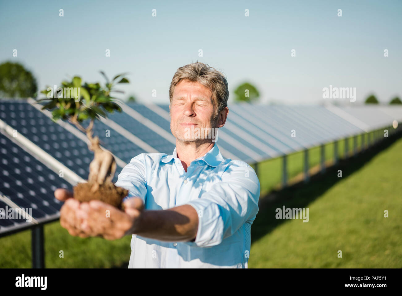 Uomo maturo holding ligustro, impianto solare Foto Stock