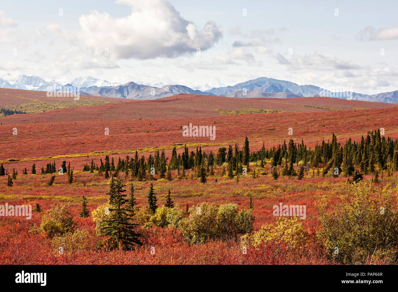 Stati Uniti d'America, Alaska Denali National Park, Alaska Range in autunno Foto Stock