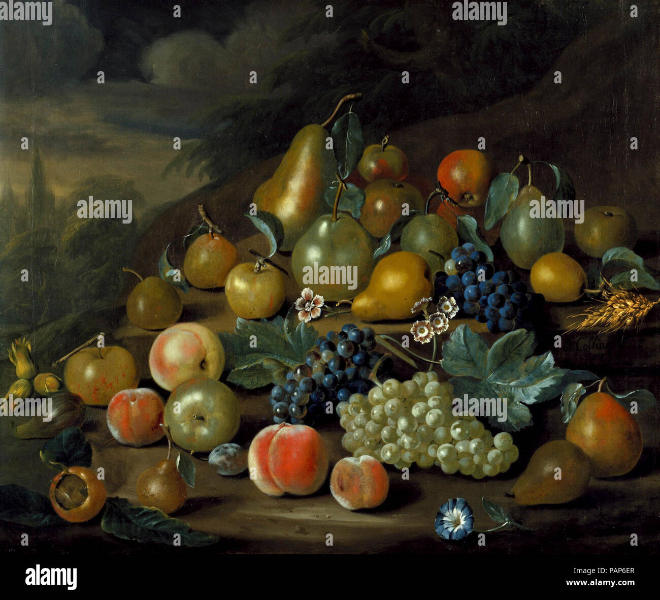 Ancora una vita di pere, di pesche e di uve) da Charles Collins. Foto Stock