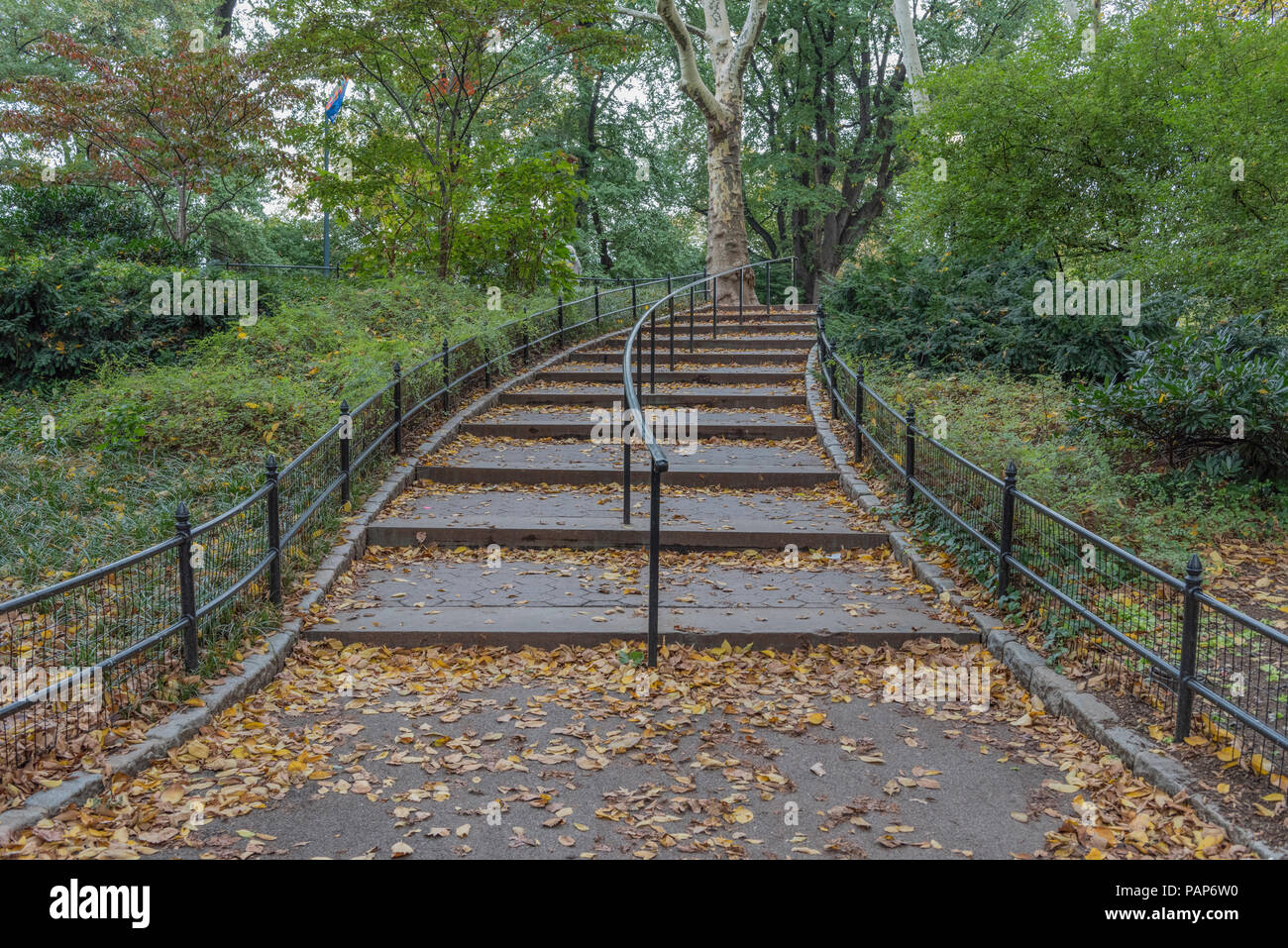 Stati Uniti d'America, New York City, Manhattan Central Park Foto Stock