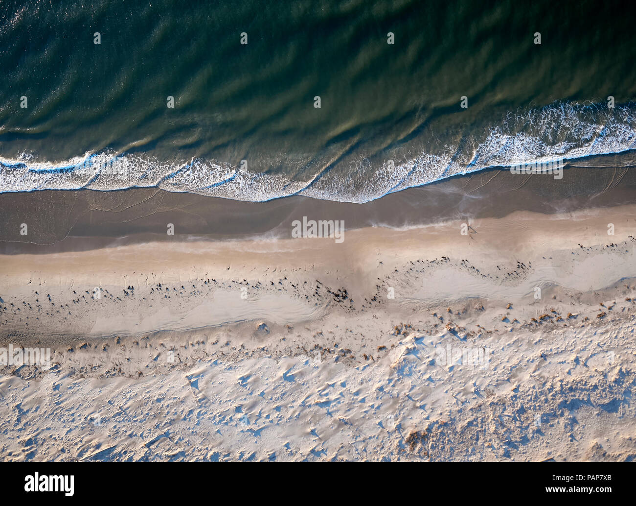 Stati Uniti d'America, Virginia, veduta aerea della Virginia costa Riserva, Oceano Atlantico, spiaggia Foto Stock