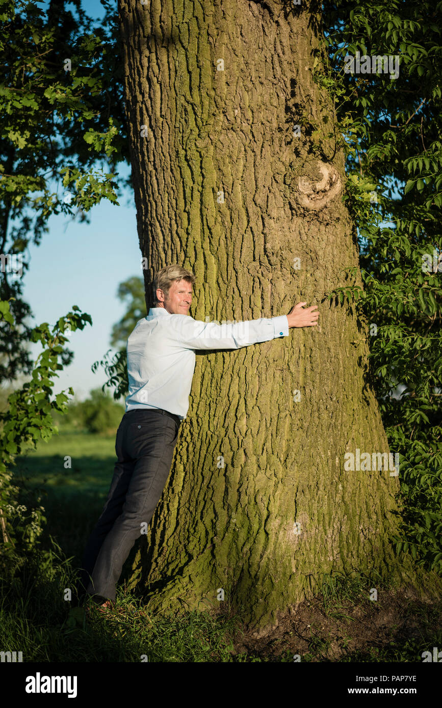 L'uomo albero avvolgente Foto Stock