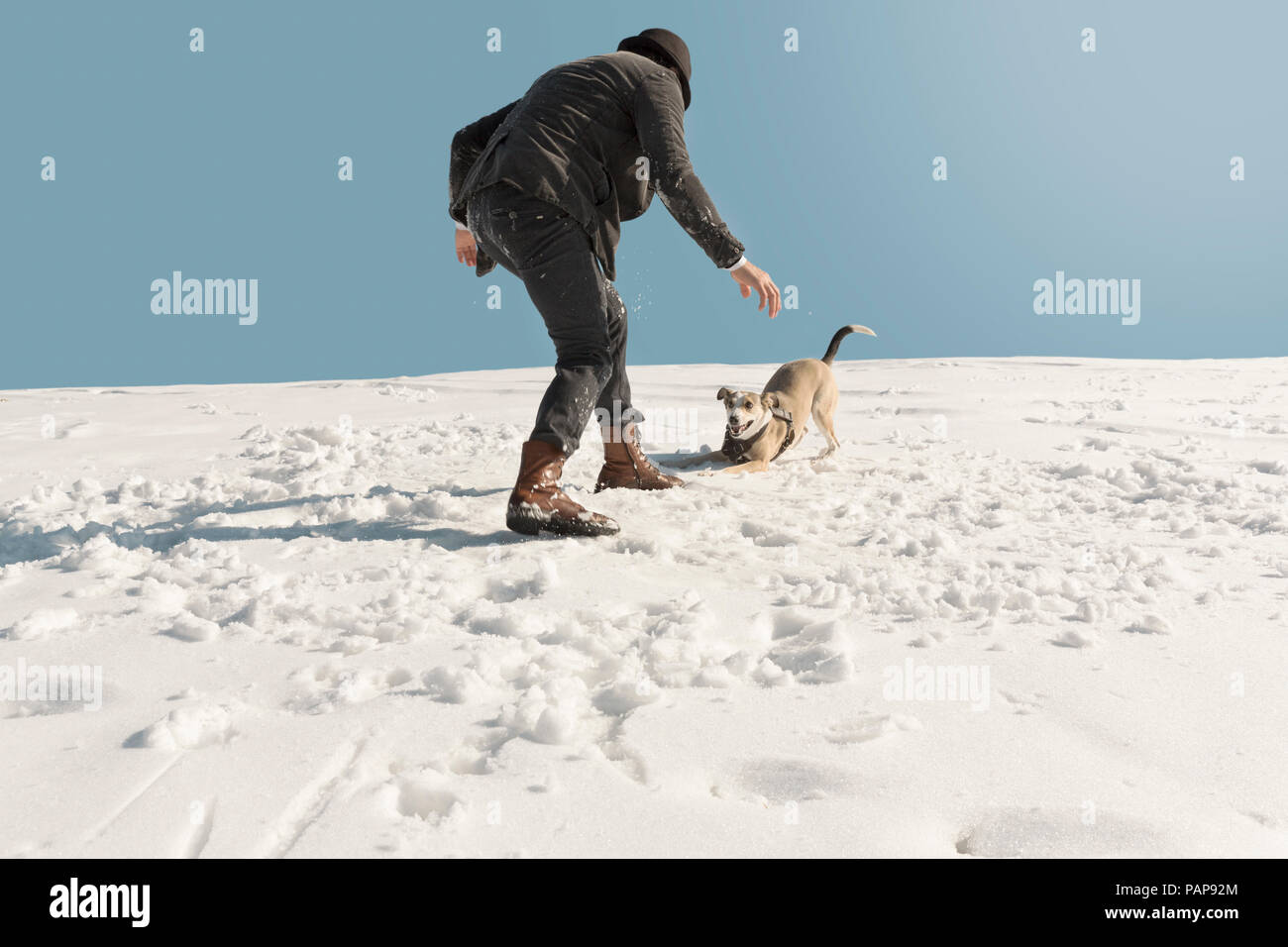 L'uomo gioca con il cane in inverno, avendo divertimento nella neve Foto Stock