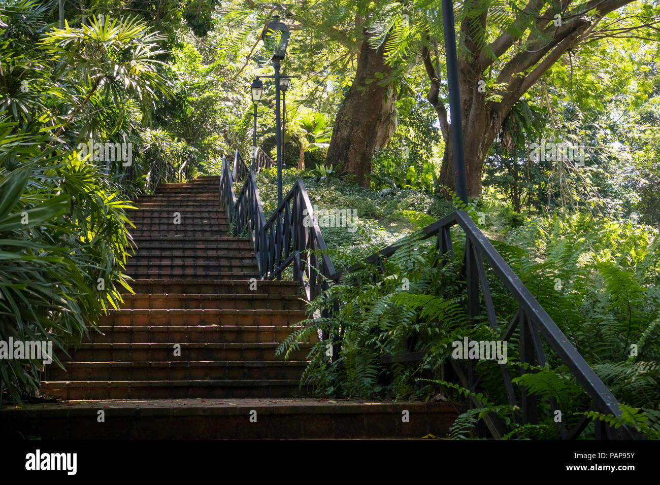 Un mattone scalinata che conduce attraverso il parco di Fort Canning, un carattere pubblico parco molto popolare per le escursioni nella giungla di Singapore Foto Stock