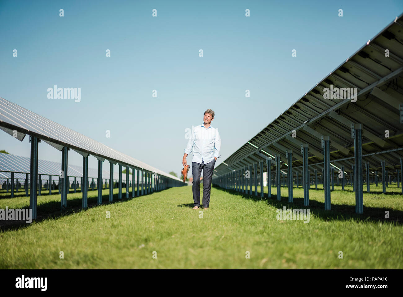 Uomo maturo camminare a piedi scalzi sul prato tra pannelli solari Foto Stock