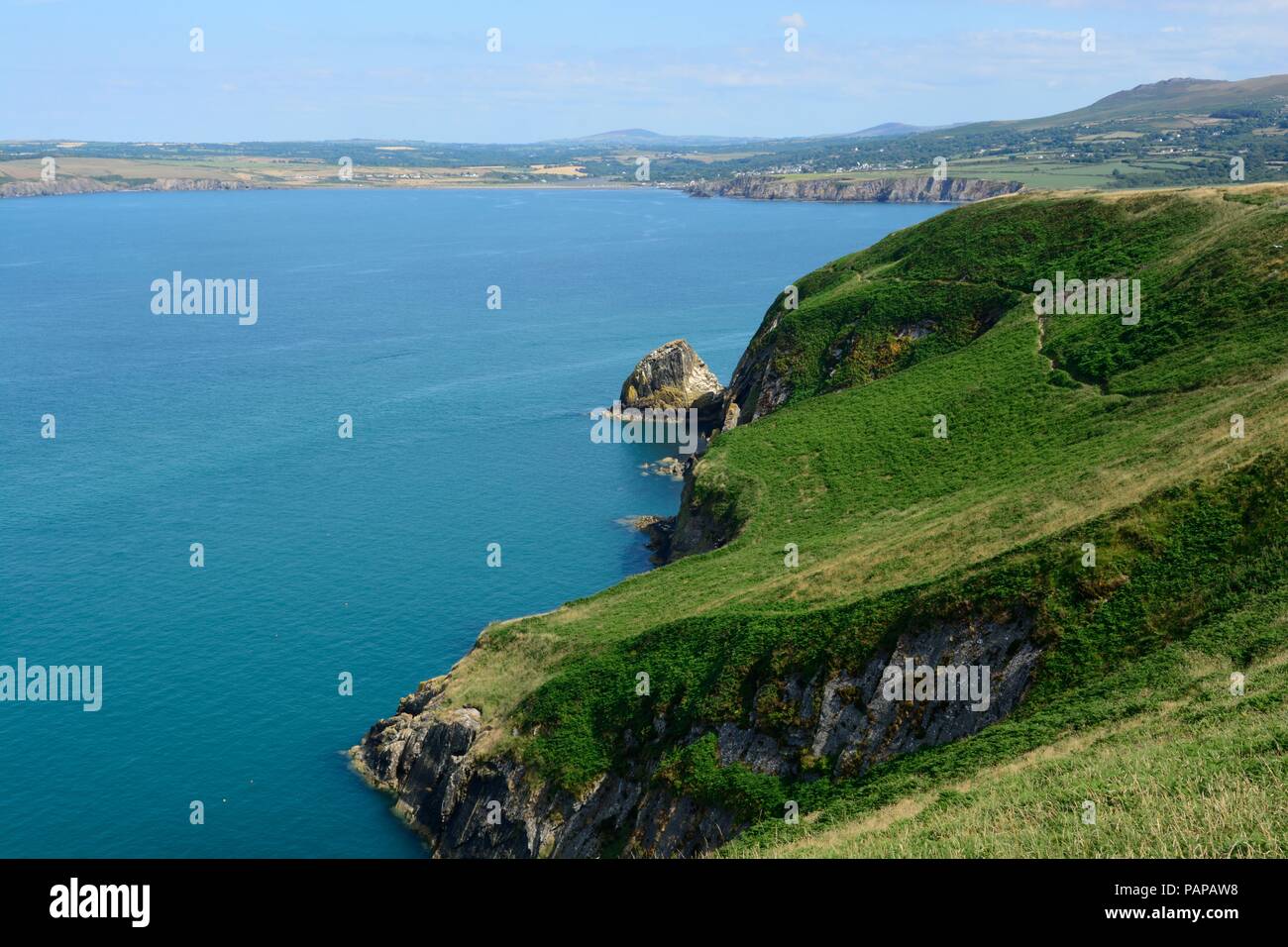 Cliff bordo circolare a piedi il sentiero tra Dinas Pwllgwaelod e Il Pembrokeshire Coast National Park Galles cymru REGNO UNITO Foto Stock
