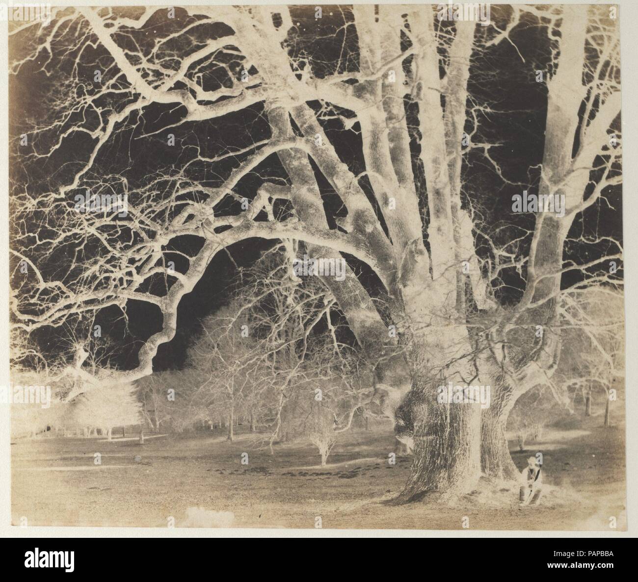 [Diffusione di rovere con inserita la figura]. Artista: Sconosciuto (inglese). Dimensioni: Immagine: 17,7 x 20,7 cm (6 15/16 x 8 1/8 in.) tappeto: 40,6 x 50,8 cm (16 x 20 in.) telaio: 48,3 x 58,4 cm (19 x 23 in.). Data: 1850s. La British gentry, grandi e maestosi alberi erano entrambi attraenti ed emblematico. Organizzato con cura per ornamento i loro panorami paesaggistici, erano anche i simboli viventi di antica stirpe e stabilita l ordine delle cose. Seduto sulle radici della diffusione di rovere, la figura solitaria fornisce la necessaria scala umana per comprendere le sue vaste dimensioni e l'età. Museo: Metropolitan Museum of Art Foto Stock