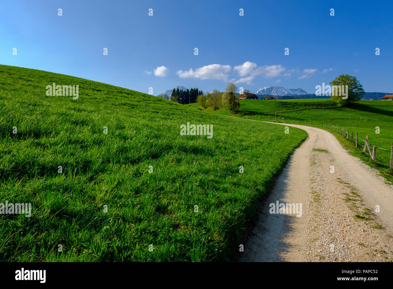 In Germania, in Baviera, Baviera, Chiemgau, Rupertiwinkel, country road Foto Stock