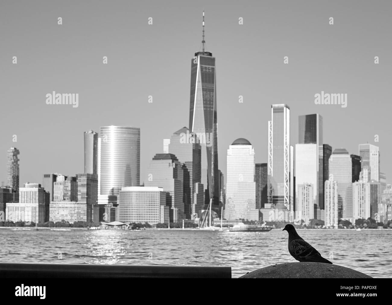 Immagine in bianco e nero di un piccione con silhouette Manhattan sfocata in background, visto dal New Jersey, New York City, Stati Uniti d'America. Foto Stock