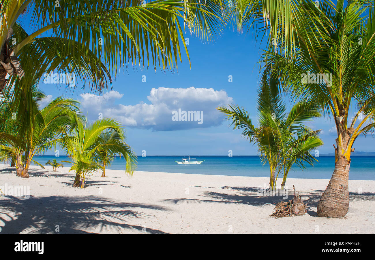 La sabbia bianca Paradise Beach, con isola di palme e White Tour in Barca - Isola di Bantayan, Filippine Foto Stock