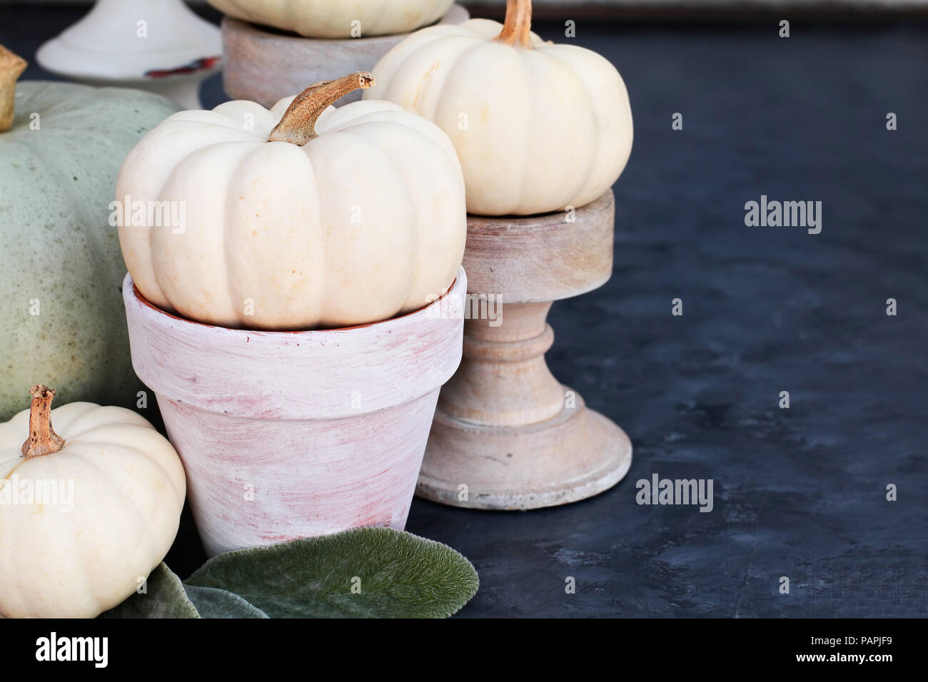 La Giornata del Ringraziamento o di Halloween home decorazioni di mini zucche seduti sul buio tavolo rustico con spazio libero per copiare del testo. Foto Stock