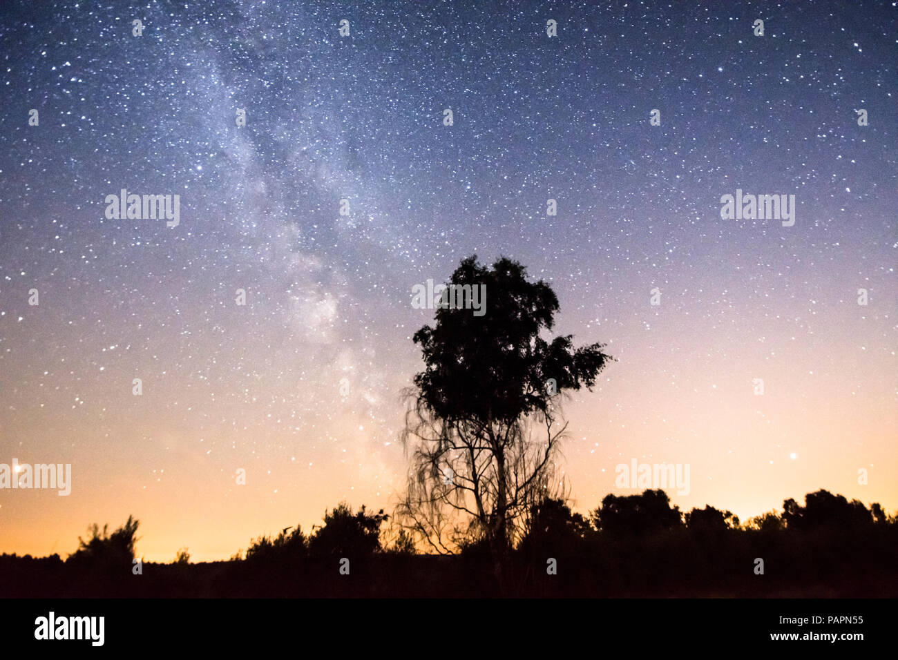 La Via Lattea visto da Iping comune, Dark Sky sito Discovery, Sussex, Regno Unito, Luglio Foto Stock