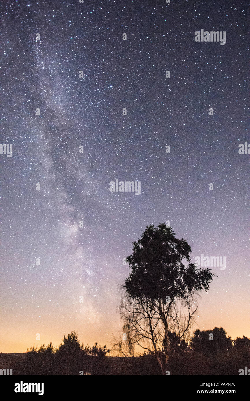 La Via Lattea visto da Iping comune, Dark Sky sito Discovery, Sussex, Regno Unito, Luglio Foto Stock