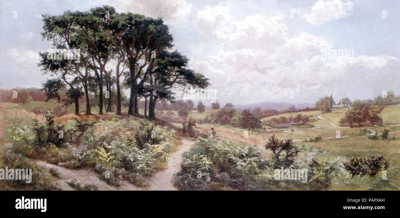 Un Surrey Heath da Gertrude Eleanor Spurr Cutts, 1898. Foto Stock