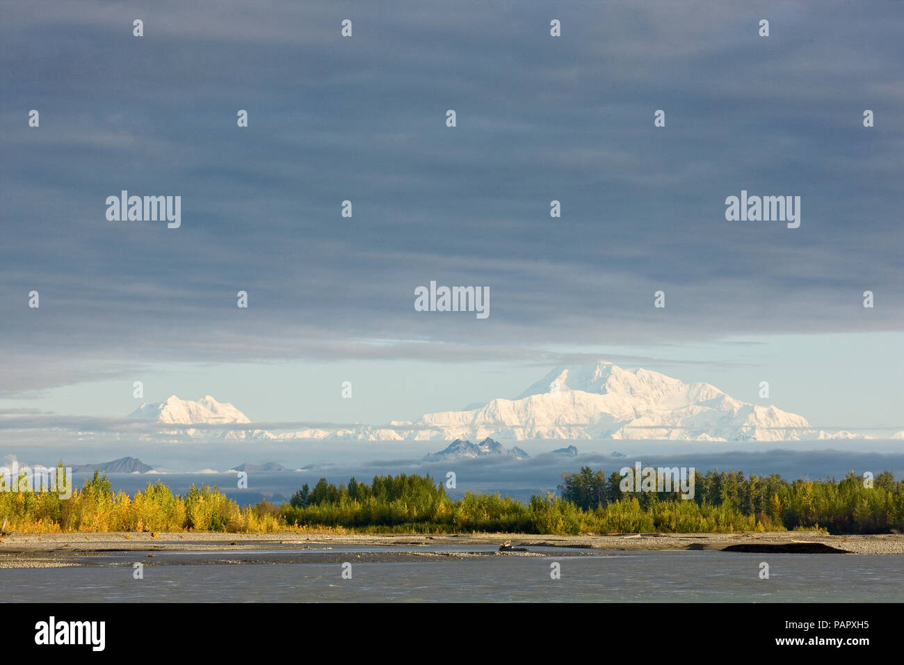Stati Uniti d'America, Alaska, Mt. McKinley visto dalla strada di Denali in autunno Foto Stock