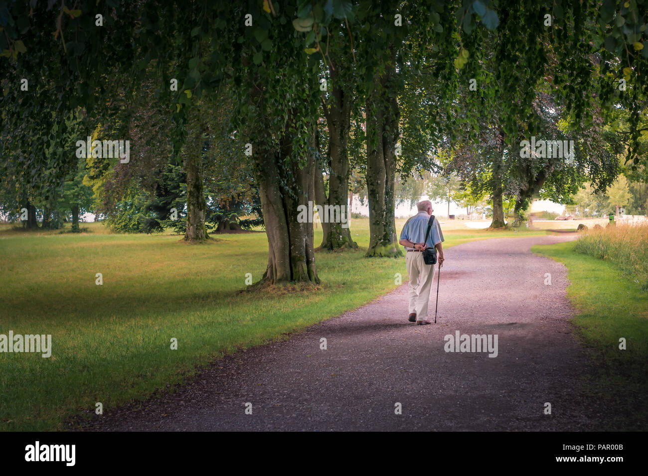 Il vecchio uomo in un parco Foto Stock