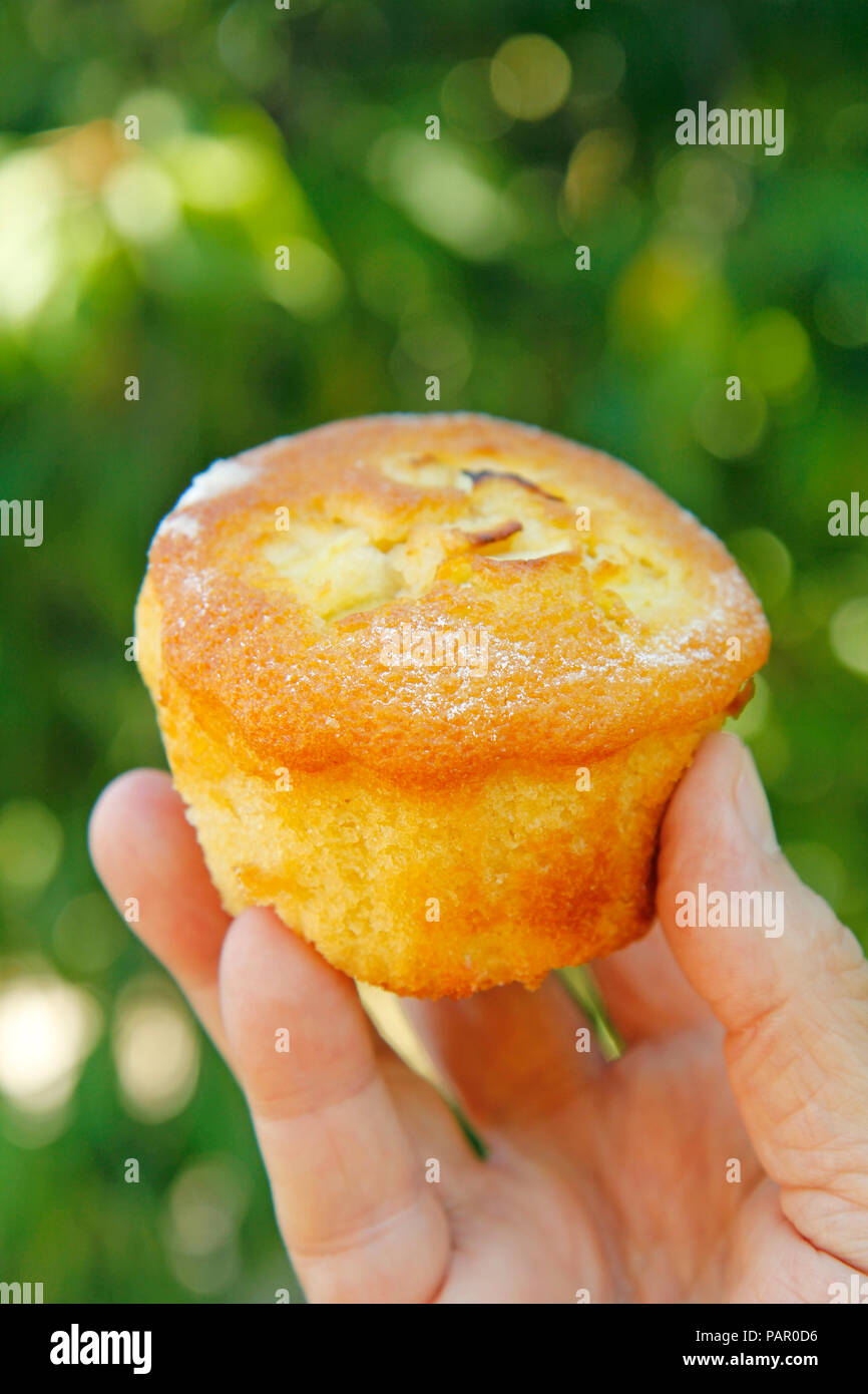 Apple muffin. Foto Stock