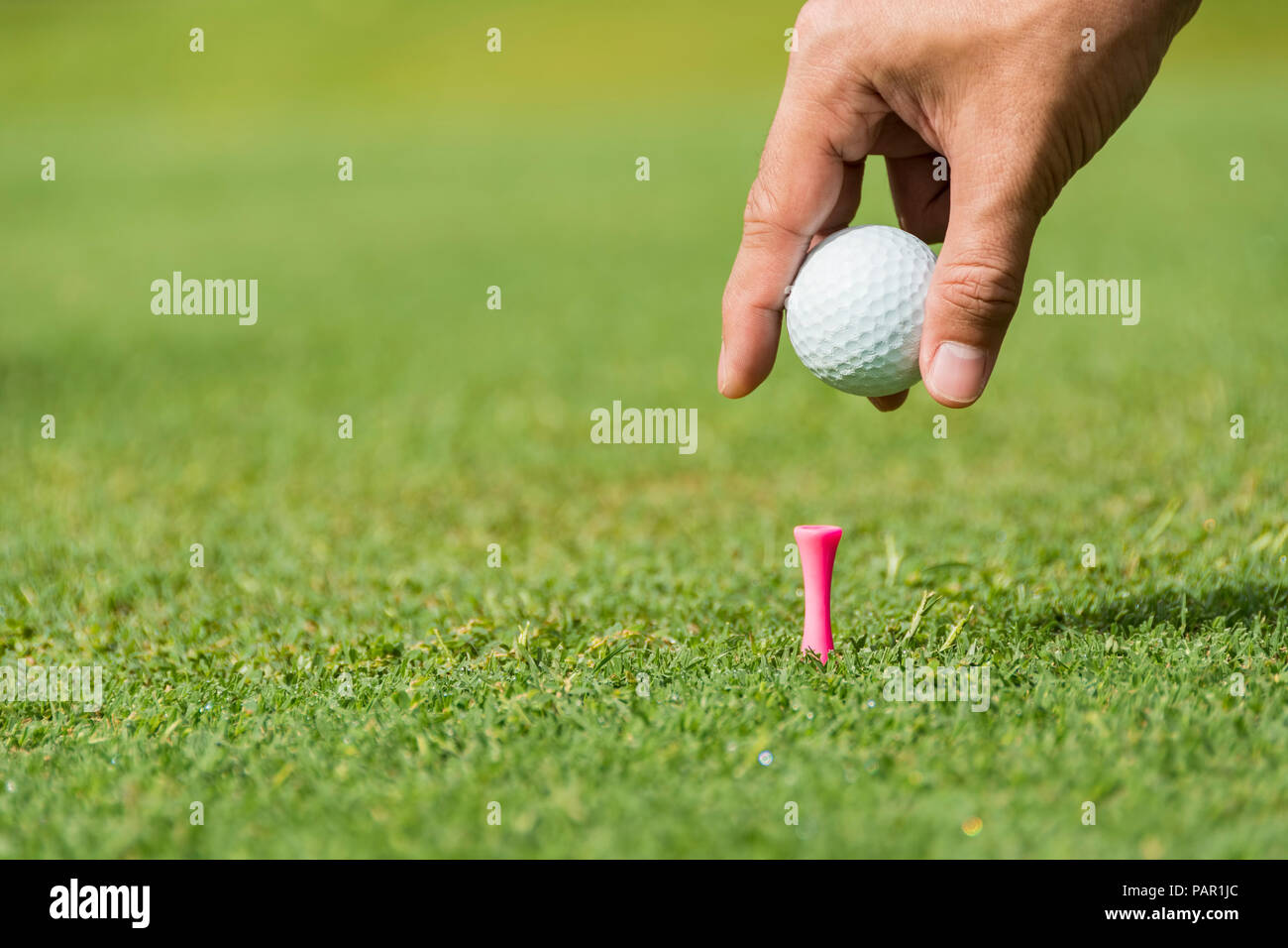 Caddie maschio mettendo la pallina da golf in rosa peg Foto Stock