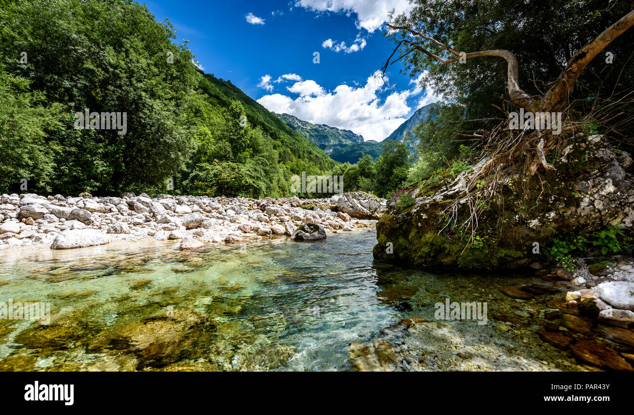 Idilliaco fiume di montagna nella valle Lepena, Soca - Slovenia Bovec. Intestazione verso Sunik boschetto di acqua di fiume Lepenca. Bellissima scena di paesaggio con Foto Stock