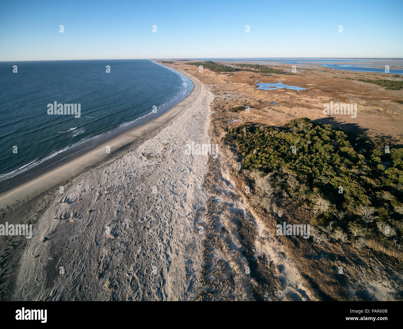 Stati Uniti d'America, Virginia, veduta aerea della Virginia costa Riserva, Oceano Atlantico, la spiaggia e la palude Foto Stock
