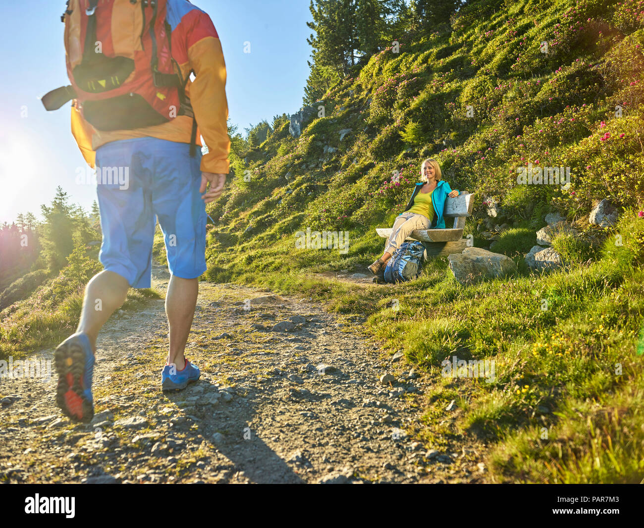 Austria, Tirolo, giovane escursionismo il Zirbenweg al Patscherkofel, riuniti in corrispondenza di un banco di lavoro Foto Stock