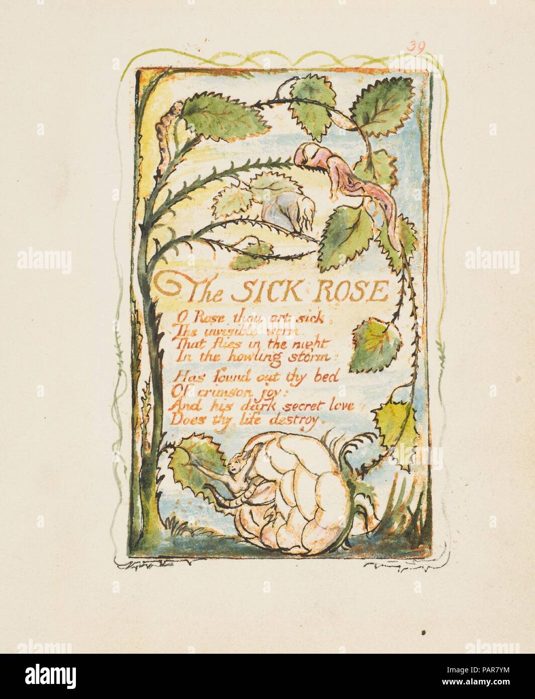 Canti di innocenza e di esperienza: Malati Rose. Artista: William Blake (British, Londra Londra 1757-1827). Dimensioni: foglio: 6 3/16 x 5 9/16 in. (15,7 x 14,1 cm). Data: ca. 1825. Museo: Metropolitan Museum of Art di New York, Stati Uniti d'America. Foto Stock