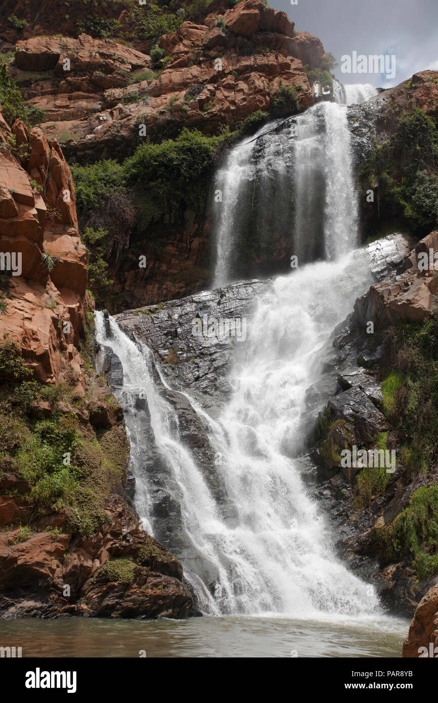 Cascata Witpoortjie, Walter Sisulu Giardino Botanico Nazionale, Johannesburg Gauteng, Sud Africa Foto Stock