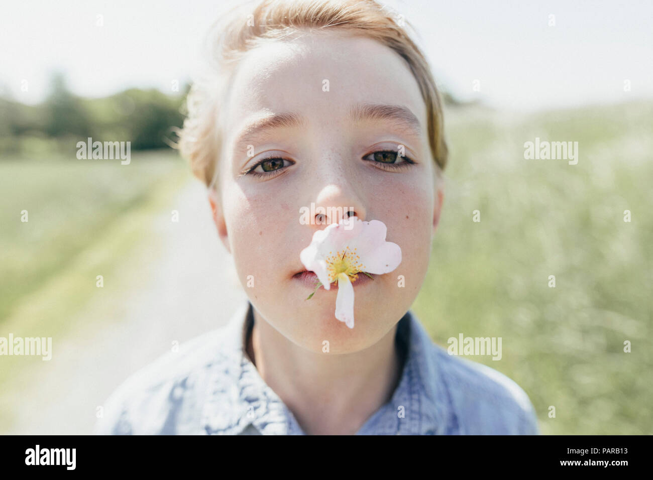 Ritratto di ragazzo con il fiore in bocca Foto Stock