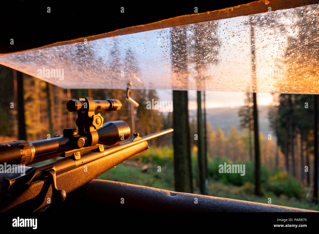 In Germania, in Baviera, vista da highstand del cacciatore con pistola di puntamento Foto Stock