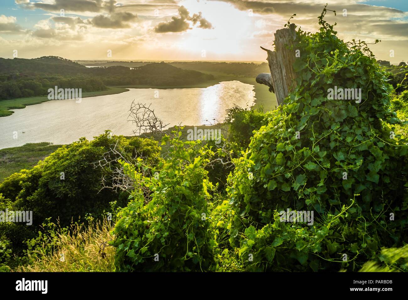 Tower hill lago al tramonto in estate in Australia Foto Stock
