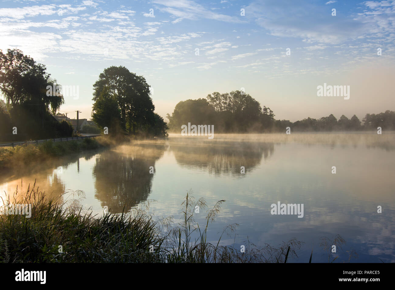 La mattina presto presso lo stagno con un velo di nebbia Foto Stock
