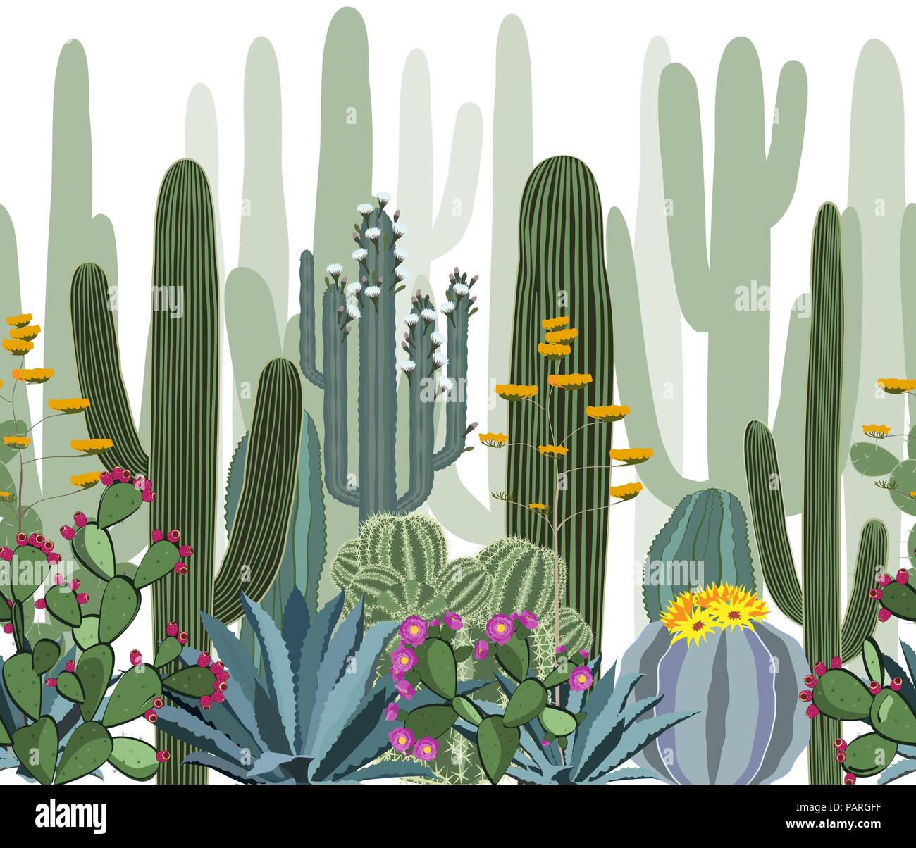 Modello senza cuciture con cactus. Selvaggia foresta di cactus Illustrazione Vettoriale