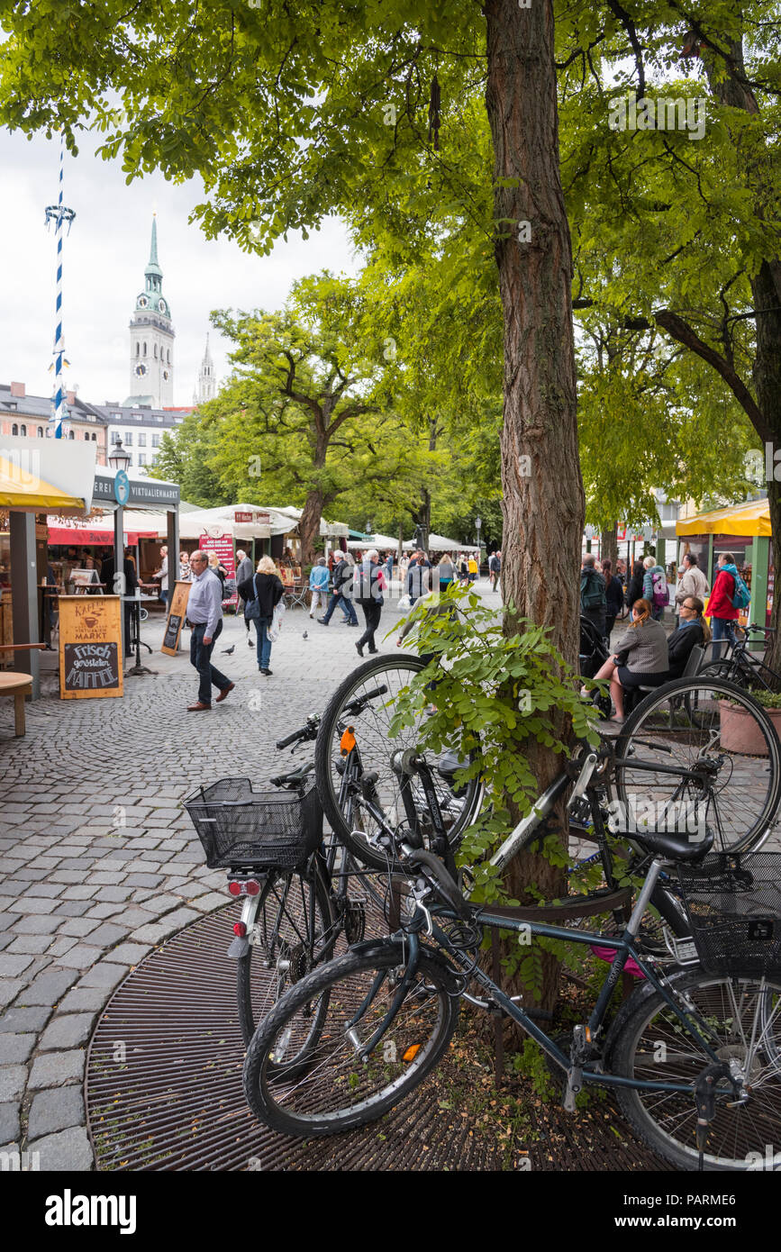 Biciclette incatenato ad un albero in un pubblico mercato all'aperto, Monaco di Baviera, Germania Foto Stock