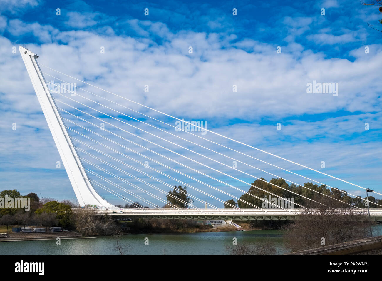 Puente del Alamillo, ponte Alamillo a Siviglia, Spagna, Europa attraverso il Canal de Alfonso XIII Foto Stock