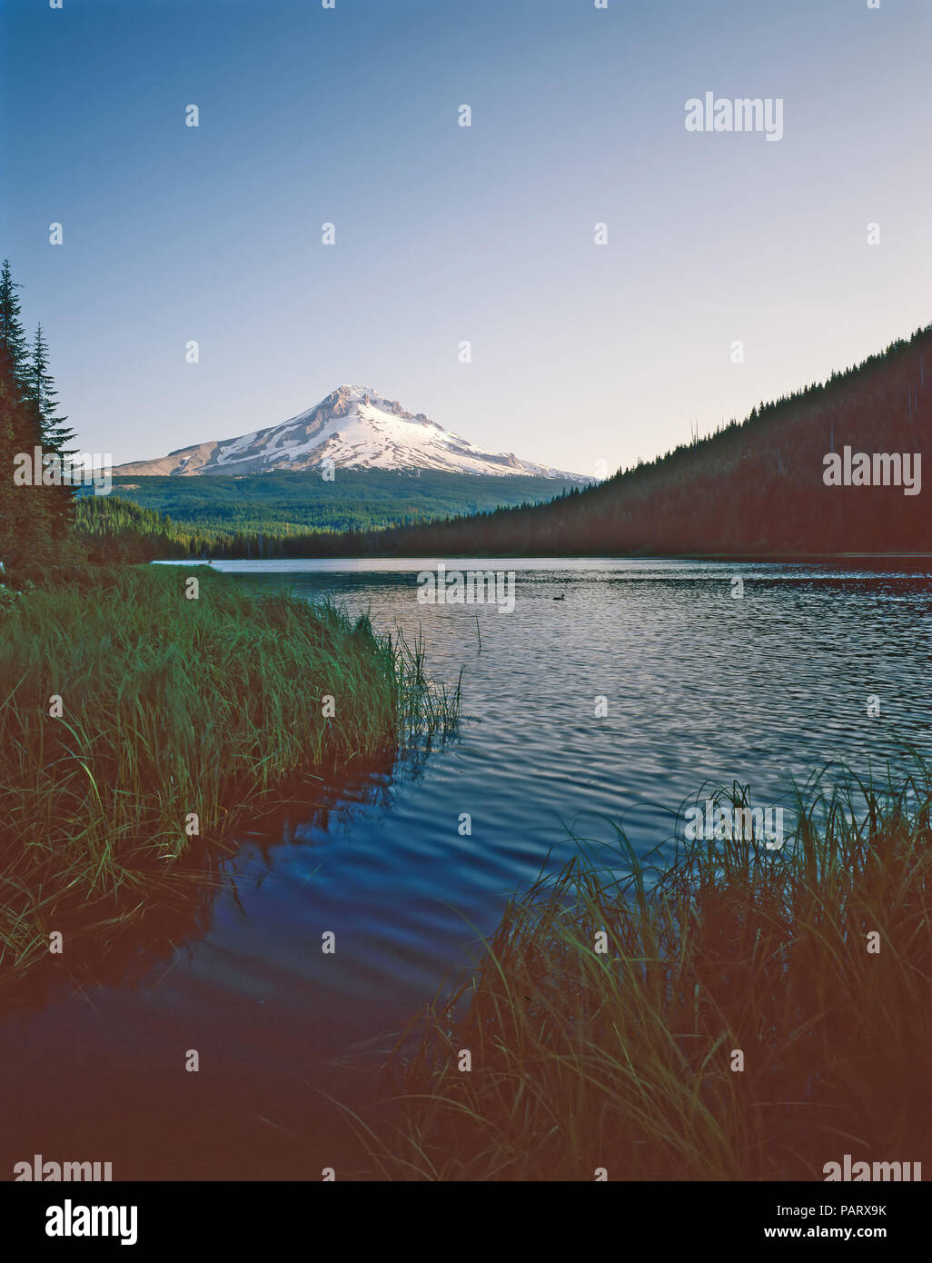 Mt.il cofano e Trillium Lago in Oregon Foto Stock