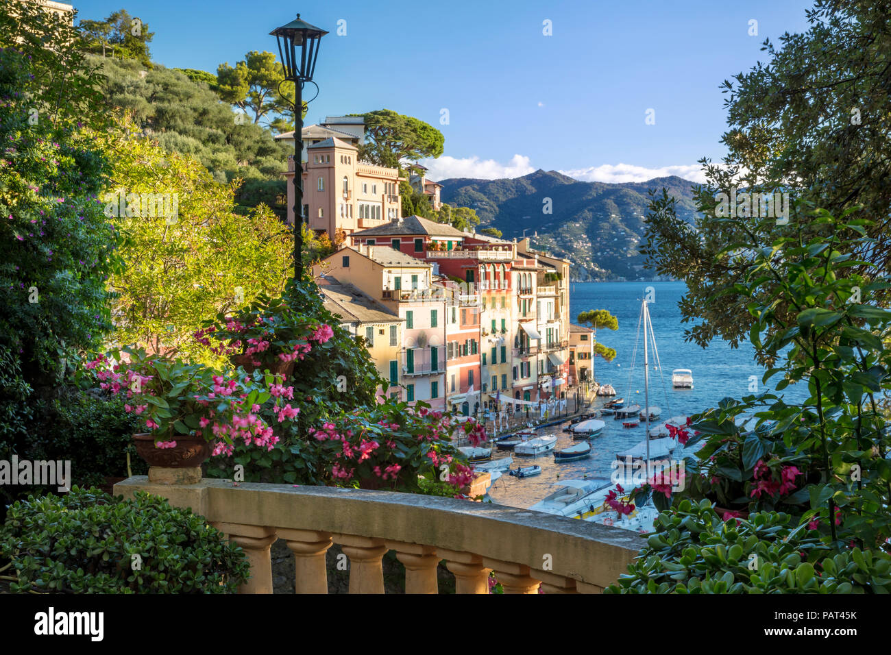 La mattina presto vista sulla cittadina portuale di Portofino, Liguria, Italia Foto Stock
