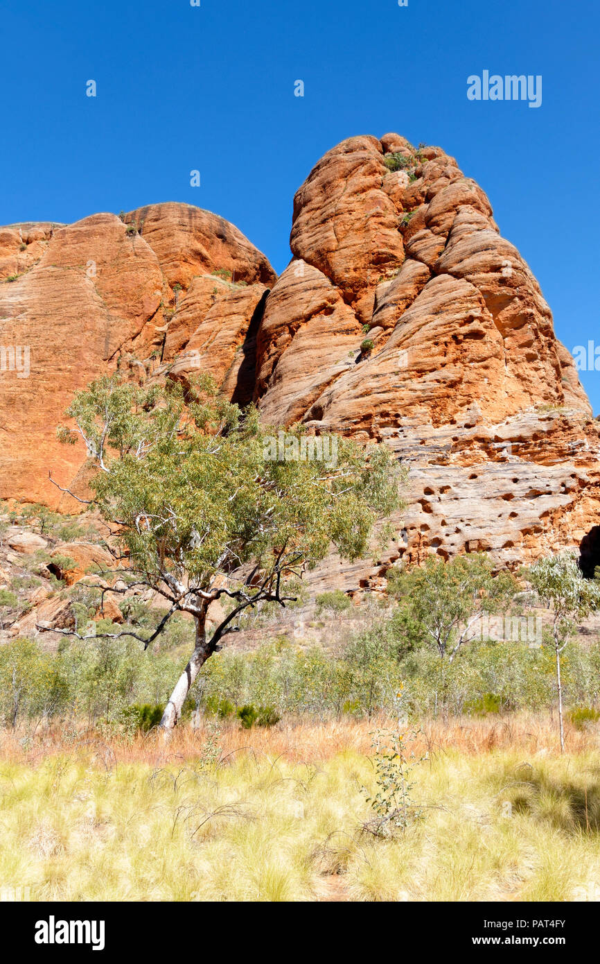 Roccia Arenaria formazione, Parco Nazionale di Purmululu, Kimberley, Northwest Australia Foto Stock