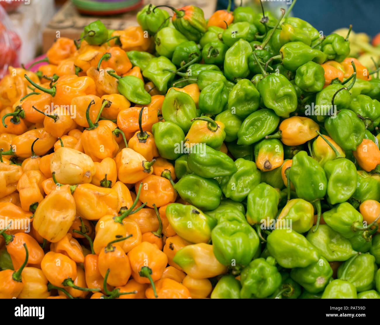 Peperoncino Habanero per la vendita in un mercato messicano Foto Stock