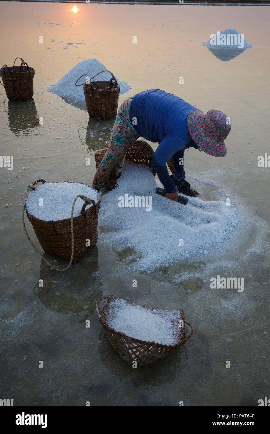 Le persone che lavorano sul campo di sale in Can Gio, Vietnam del Sud. Foto Stock