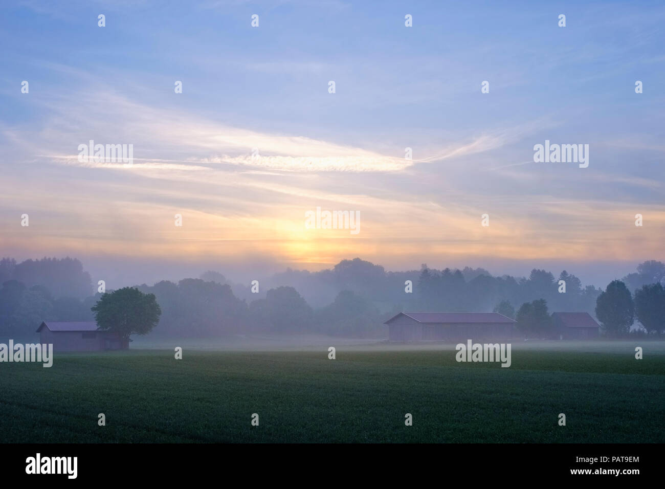 In Germania, il Land della Baviera e della Svevia, Tuerkheim, nebbia mattutina di sunrise, Augsburg Western boschi parco naturale Foto Stock