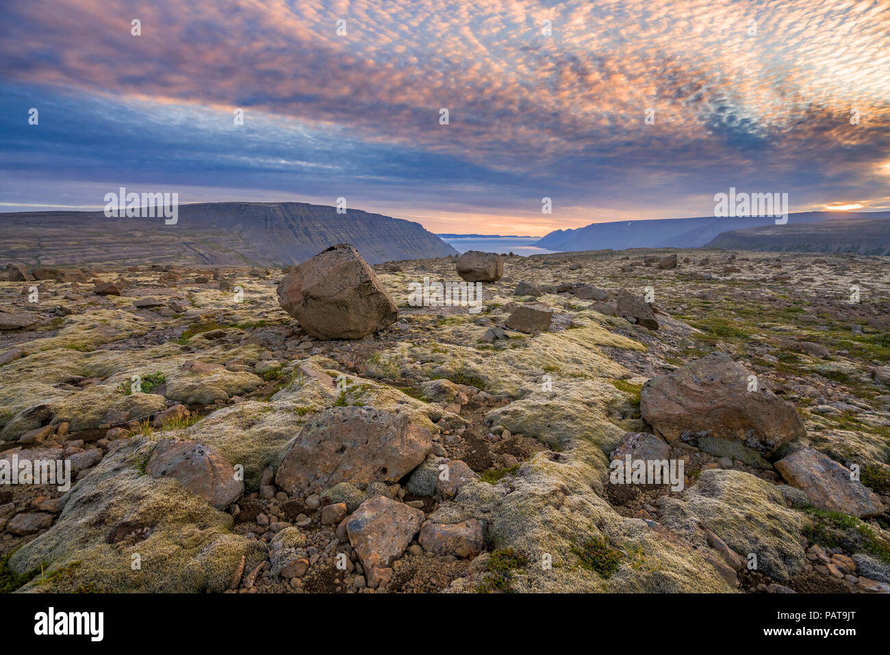 Lava e moss paesaggio, area Dynjandi, West fiordi, Islanda Foto Stock